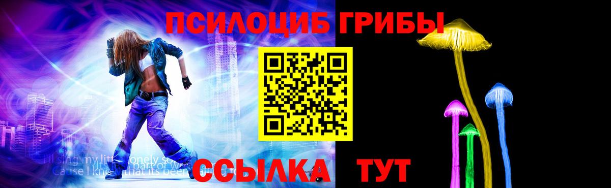 Псилоцибиновые грибы Psilocybine cubensis Ачинск
